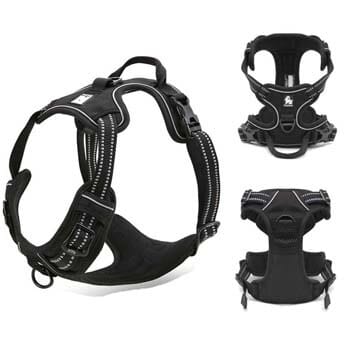 Dog's Reflective Nylon Harness