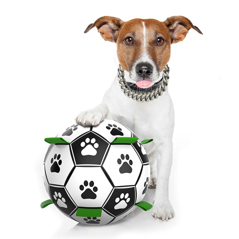 Interactive Dog Football Toy