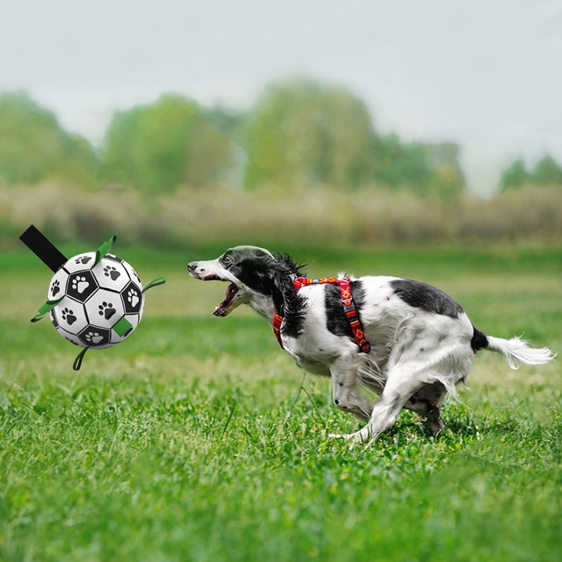 Interactive Dog Football Toy