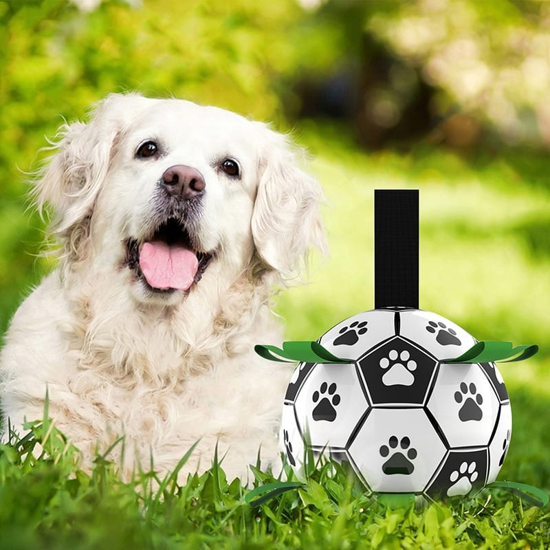 Interactive Dog Football Toy