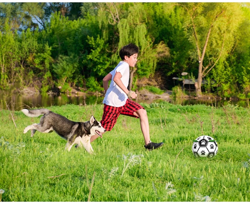 Interactive Dog Football Toy