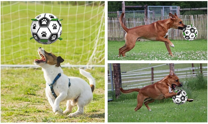 Interactive Dog Football Toy