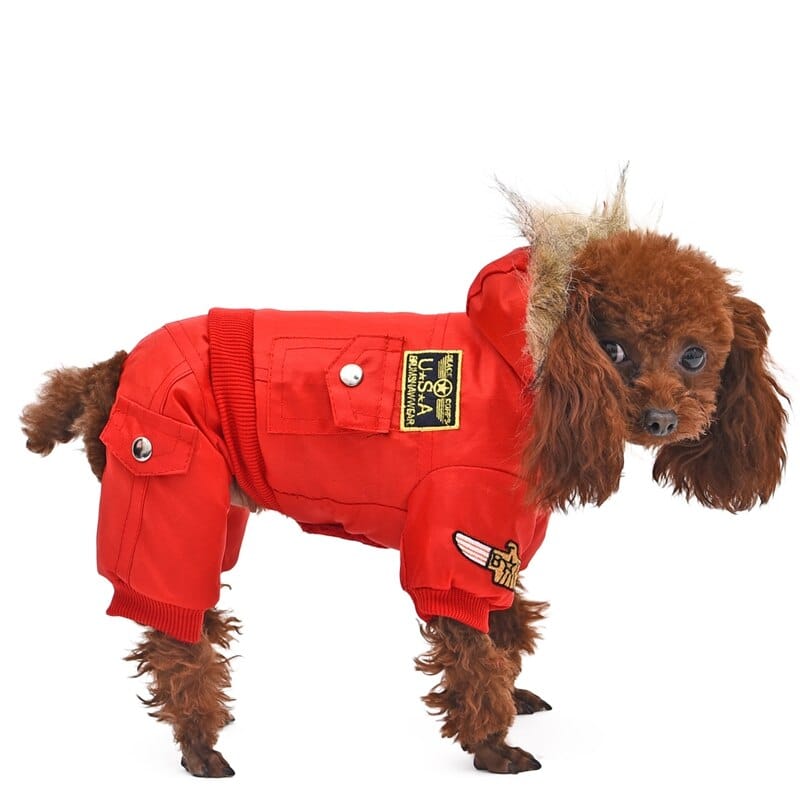 Warm Military Style Jacket for Dogs