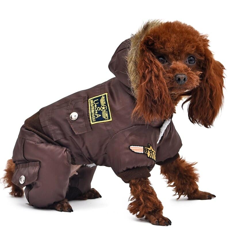 Warm Military Style Jacket for Dogs