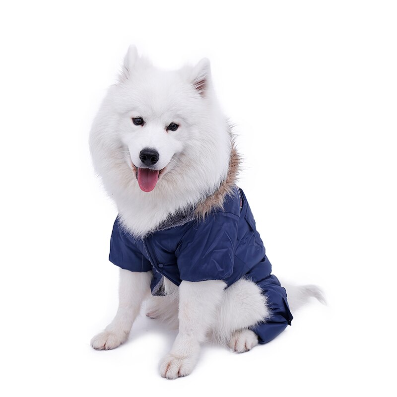 Warm Military Style Jacket for Dogs