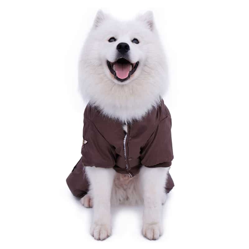 Warm Military Style Jacket for Dogs