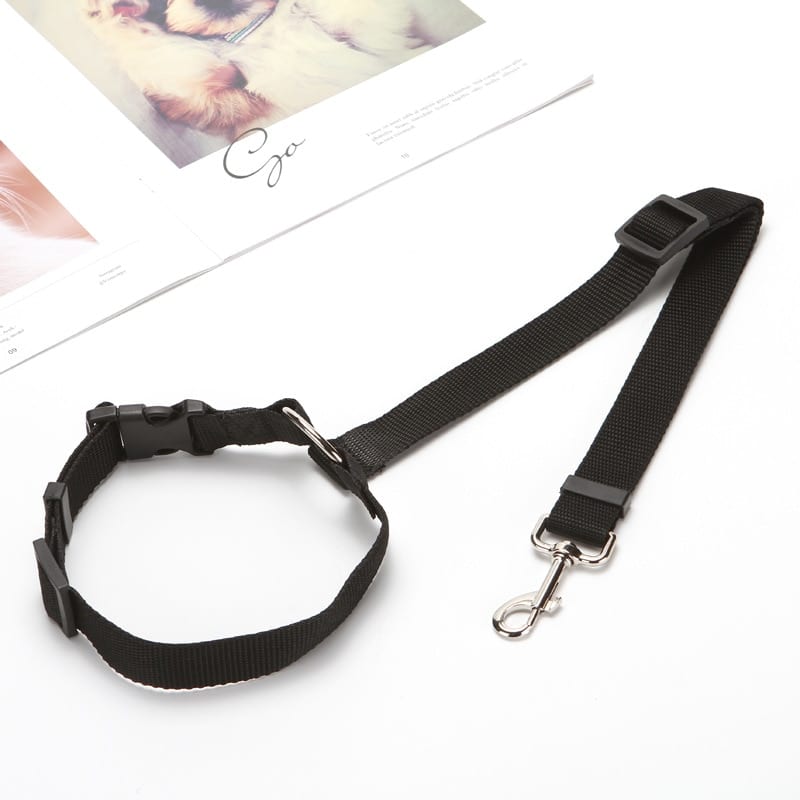 Pet Seat Belt Leash