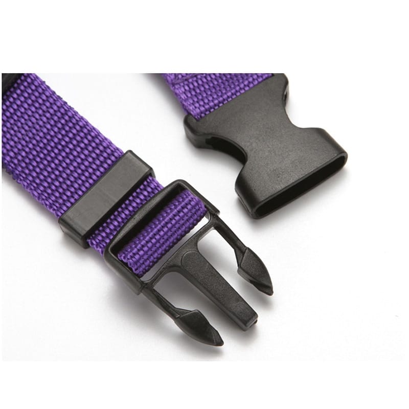 Pet Seat Belt Leash