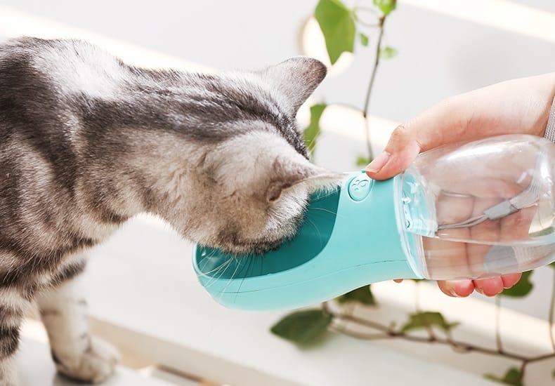 Pets Drinking Bottle with Button Lock