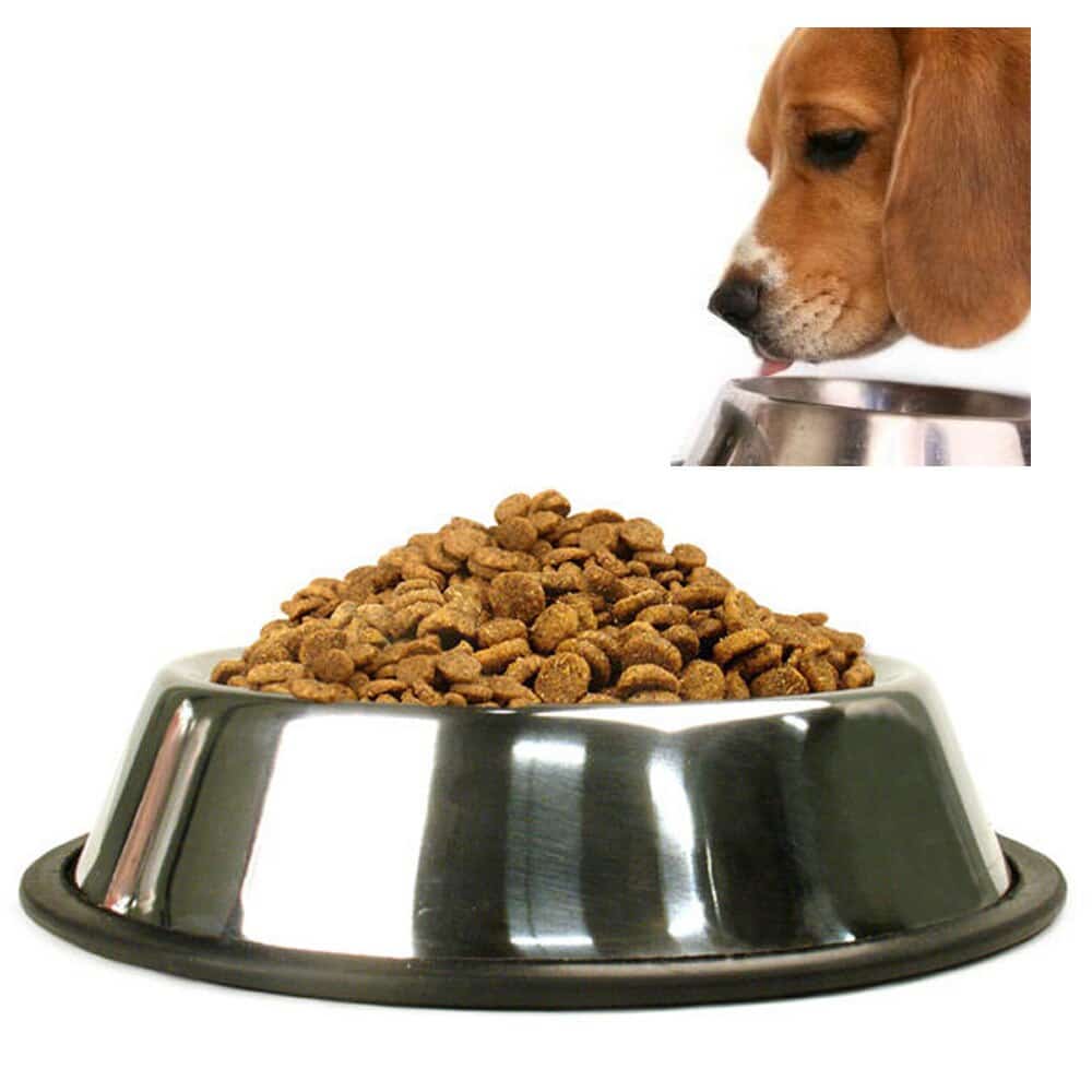 Pet Stainless Steel Bowl with Anti-Slip Pad