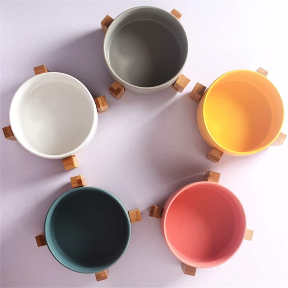 Ceramic Elevated Bowl for Pets